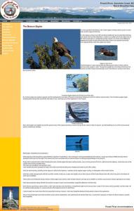 click to view detail